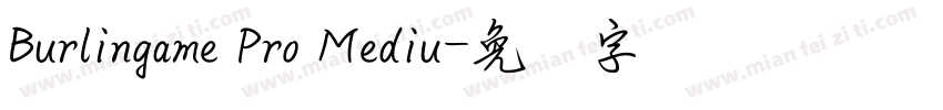 Burlingame Pro Mediu字体转换